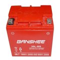 Batteryjack BatteryJack 30L-BS-Banshee3 Banshee YTX30L - BS YIX30L - BS AGM Battery for Powersports Atv - Utv & Harley Davidson 30L-BS-Banshee3